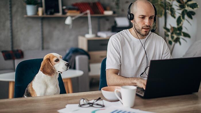 1 In 5 Americans Are Still Working From Home