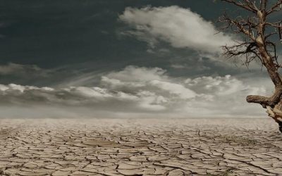 Wildfire And Drought Risks Spike As California Enters Dry Season With Just 18% Snowpack