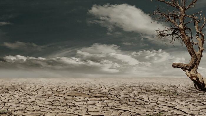 Wildfire And Drought Risks Spike As California Enters Dry Season With Just 18% Snowpack