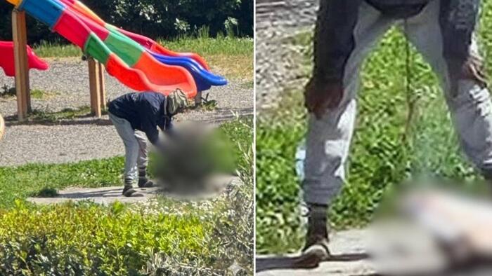 Fury As Nigerian Migrant Caught Cooking Cat In Public Park Next To Children’s Playground