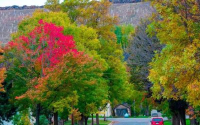 Senate Votes To Repeal Biden-Era Mining Ban In Minnesota, Sending Bill To Trump