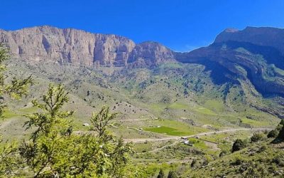 Massive “Treasure Trove” 3,000-Year-Old Silk Road City Discovered In Uzbekistan