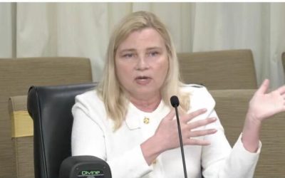 Minnesota Whistleblower Alleges Years Of ‘Reckless Disregard’ At Fraud-Plagued Agency