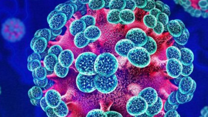 Vaccine Trade Returns? Moderna Working On Hantavirus Shot Sends Shares Higher