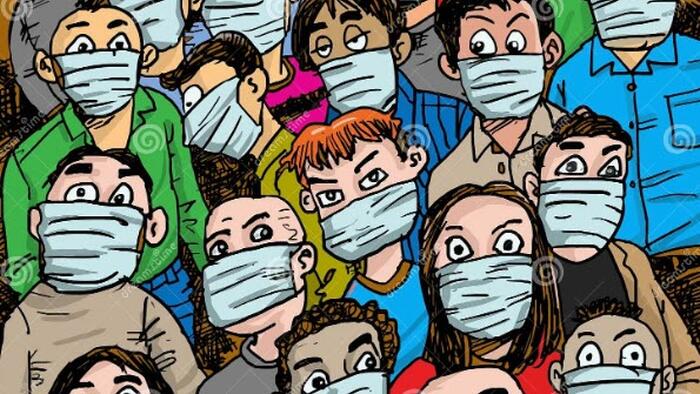 Be Very Afraid: The Hantavirus And Suicide Dolphins