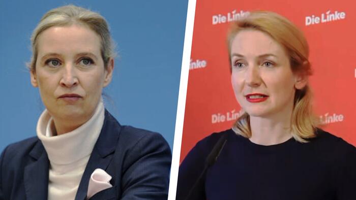Leftist German Party Leader Forced To Correct Lies About AfD Leader, Pay Her Legal Fees