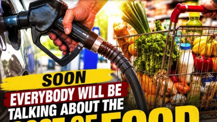 Everyone Talks About The Cost Of Gasoline… Soon Everyone Will Be Talking About The Cost Of Food