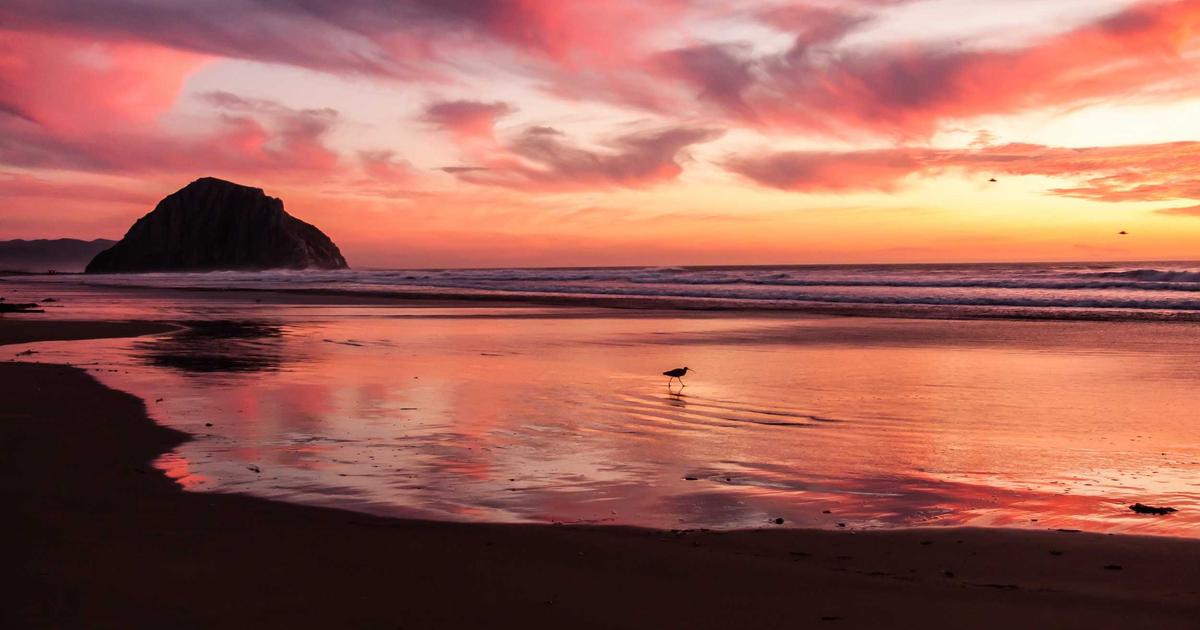 When Gratitude Overflows Into Song