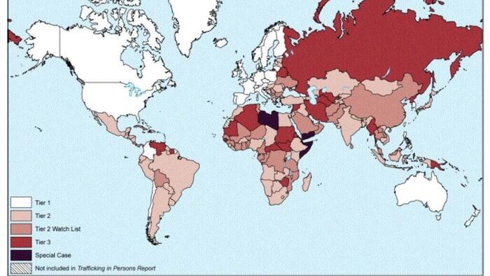 Why Does America Have A ‘Diversity Visa’?