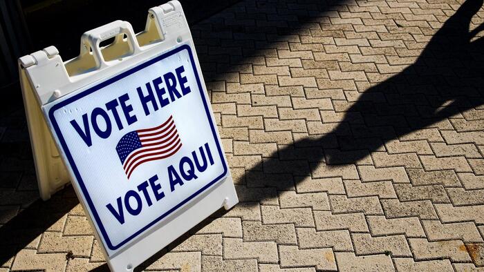 LA City Council Advances Measure To Allow Non-Citizens To Vote In Local Elections
