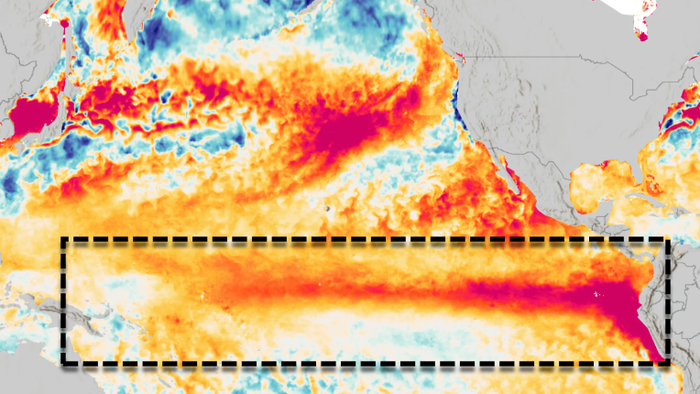 Super El Nino: Famine Follows War?
