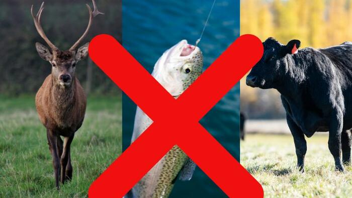 New Oregon Initiative Would Criminalize Hunting, Fishing And Farming