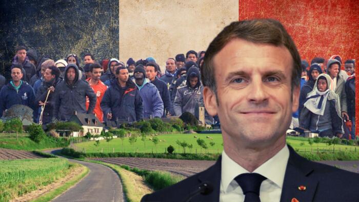The French Never Wanted Mass Immigration