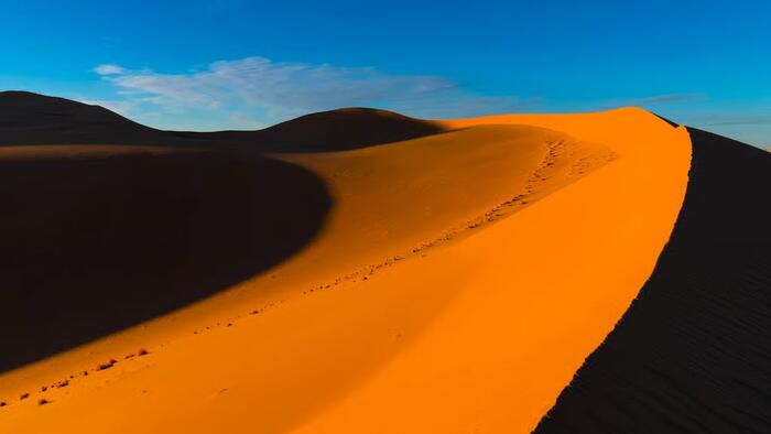 EU Plans €100 Billion Project To Bring African Sunlight To Power Europe’s Electric Revolution