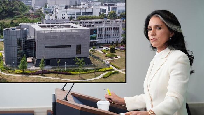 Gabbard Drops Fauci COVID-19 Receipts On Last Day: He Funded The Research, Cooked The Cover Story, Then Lied To Congress