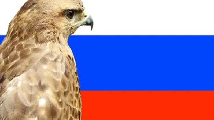 Putin Powerfully Rebuffed The Hawks Who Want Him To Attack NATO