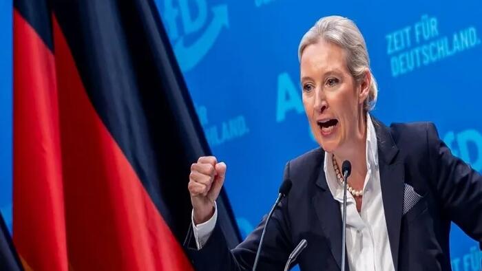 AfD Co-Leader Demands Ukraine Pay Reparations To Germany