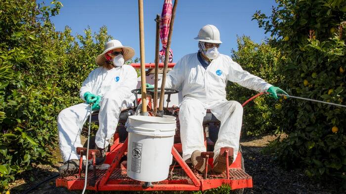 Texas AG Launches Investigation Into Glyphosate In Food