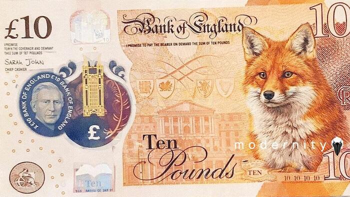 A Serious Country Does Not Swap Its Greatest Leader On Banknotes For Little Animals