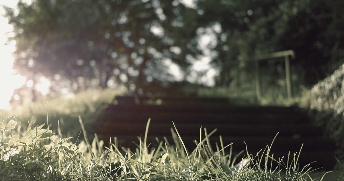 Release Your Worries: Trust in Divine Provision