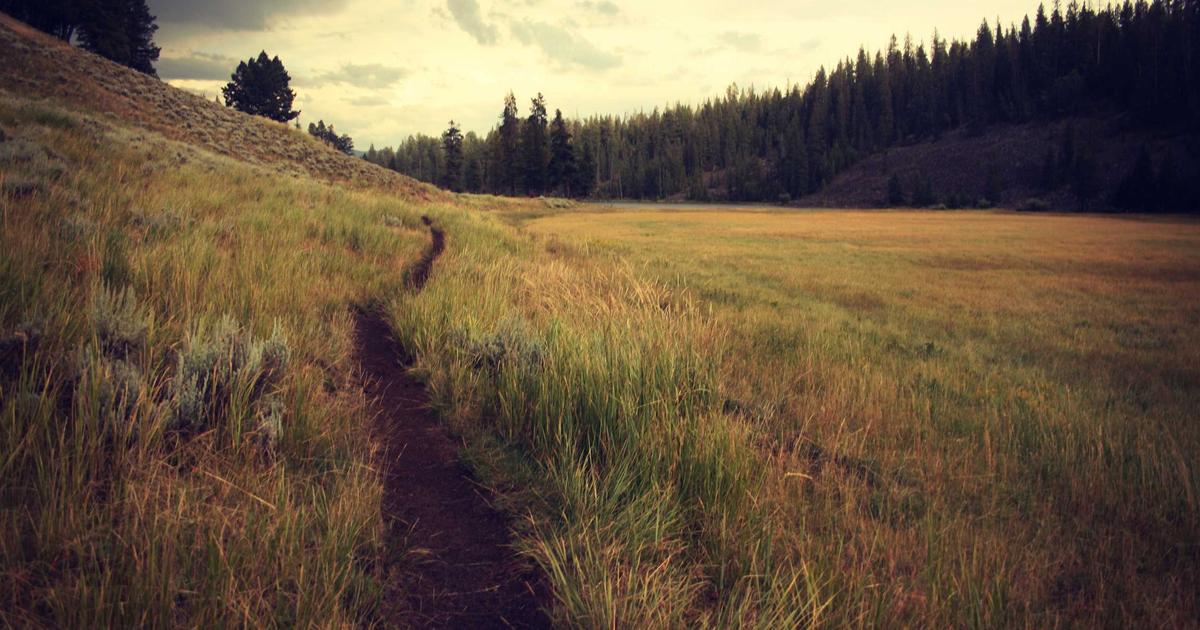 The Quiet Strength of Grace