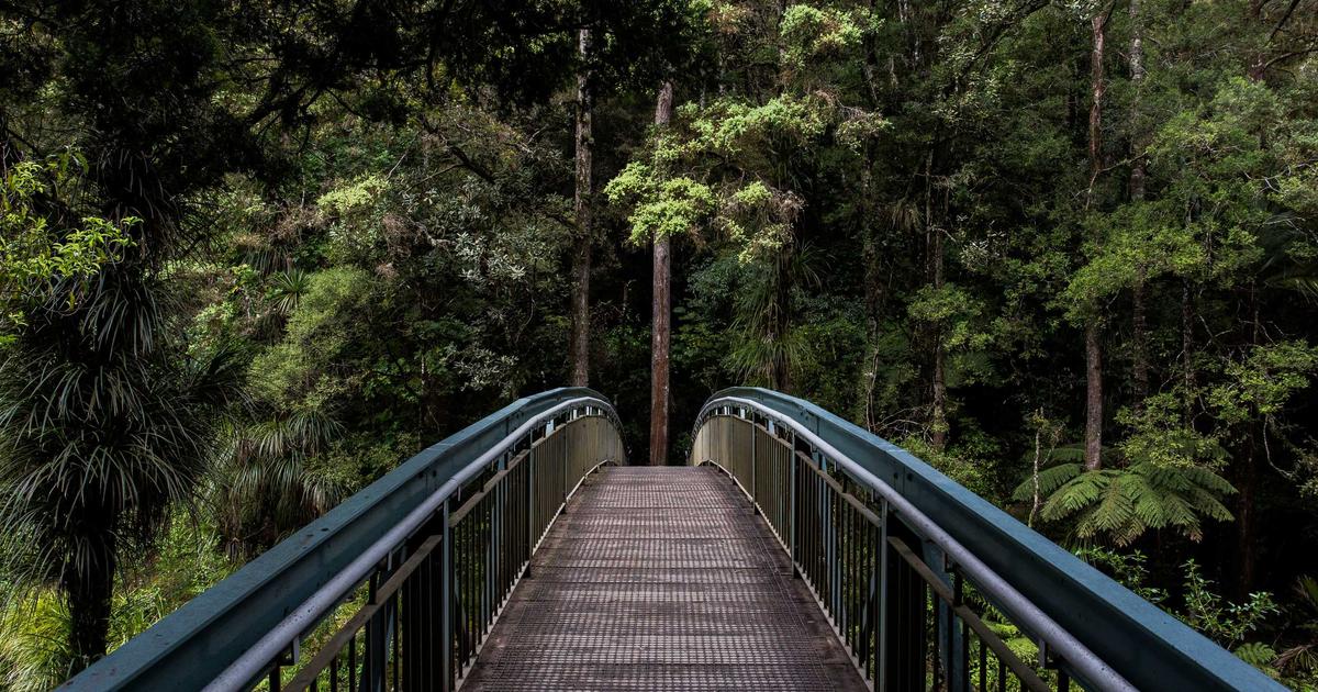 Moving Forward Despite Fear: The Courage to Bless Your Journey