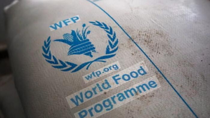 UN Food Agency Warns Millions Pushed Into Hunger By Prolonged Iran War