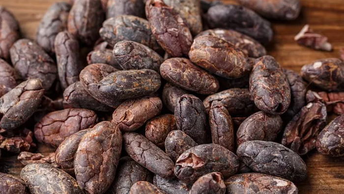 Cocoa Prices Rally As Jefferies Warns Of “Perfect Storm” In West Africa