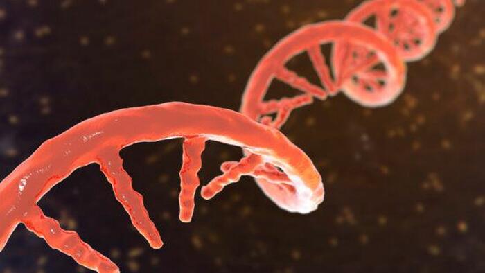 Chinese University Reviewing Gene Editing Research As Family Discloses Daughter’s Death