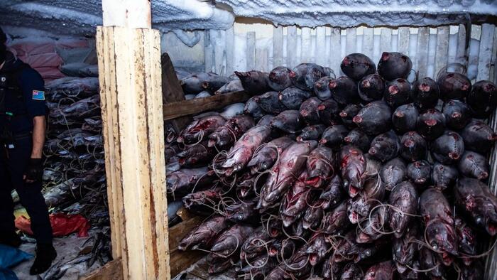 ‘Going Dark’: The High-Tech Tricks Behind Illegal Chinese Fishing In The Pacific