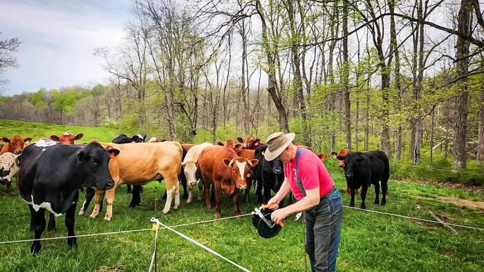Behind America’s Growing ‘Food Freedom’ Movement