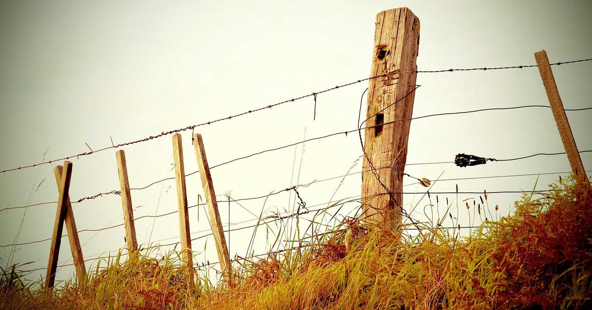 The Power of Willingness: Opening Channels to Divine Help