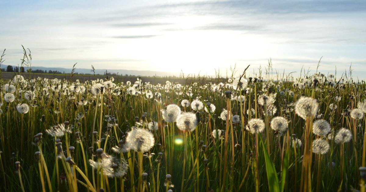 When We Lose Connection: Finding Our Way Back to Inner Guidance