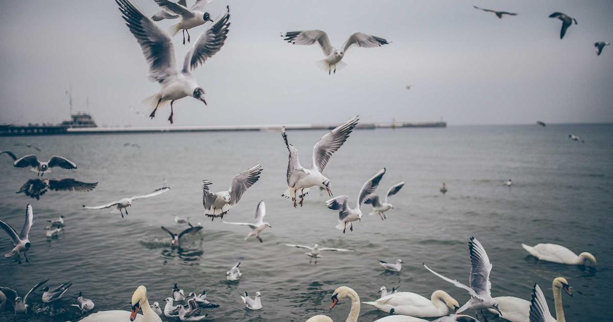 Living in the Light: When Hearts Are Fully Known