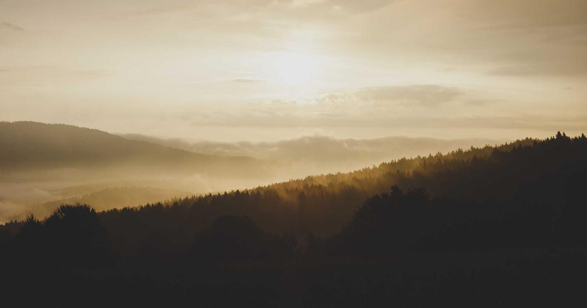 Seeking Confirmation: When Faith Needs a Witness