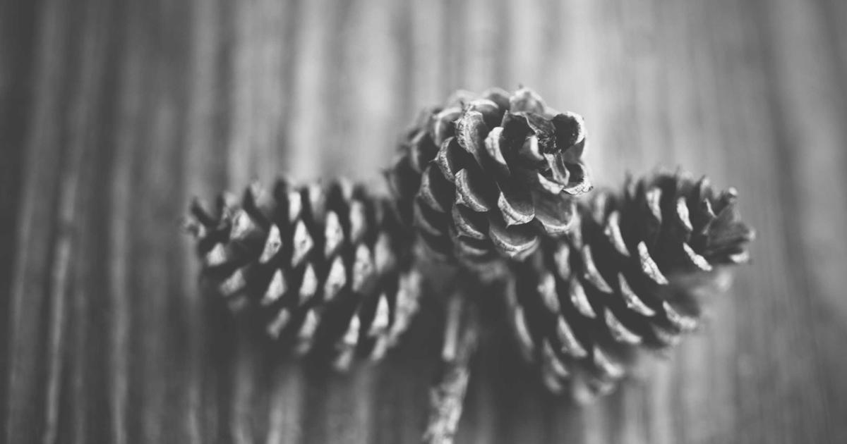 Finding Joy in the Journey: How Suffering Shapes Our Strength