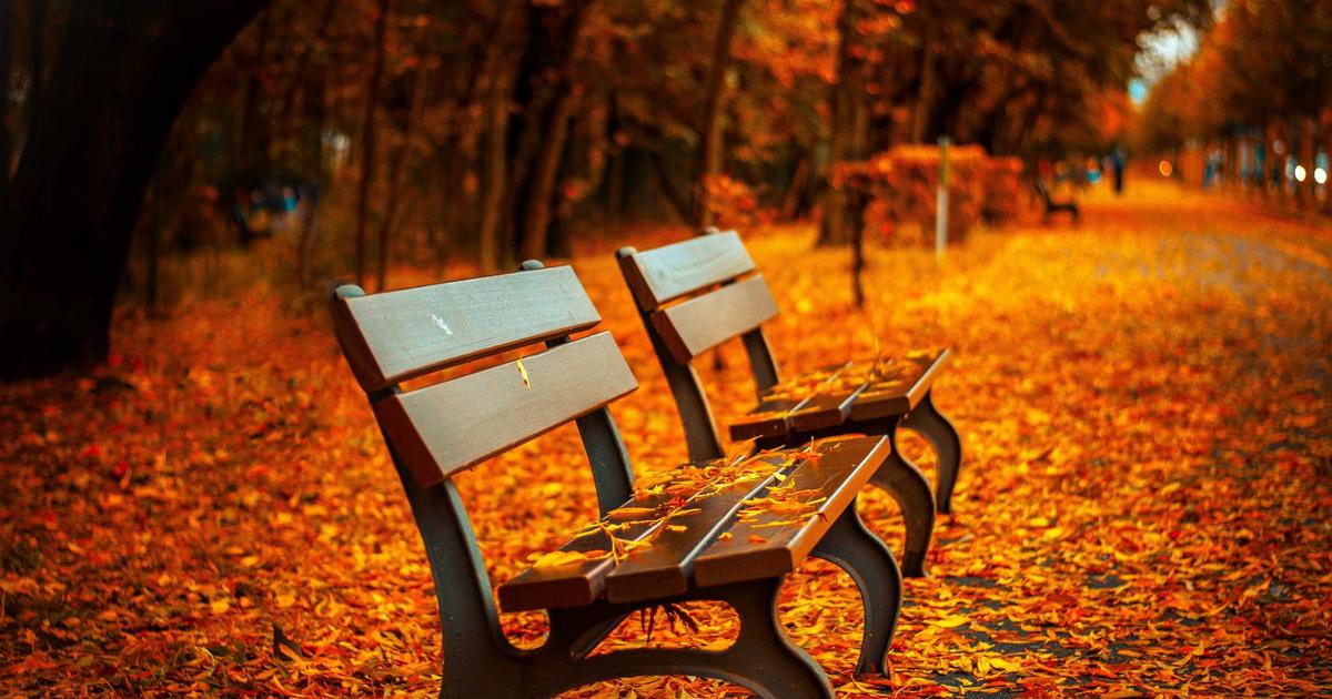 When Our Pain Creates False Stories: Finding Freedom Through Forgiveness