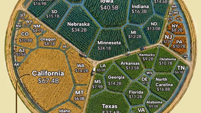 Which States Produce The Most Food In America?