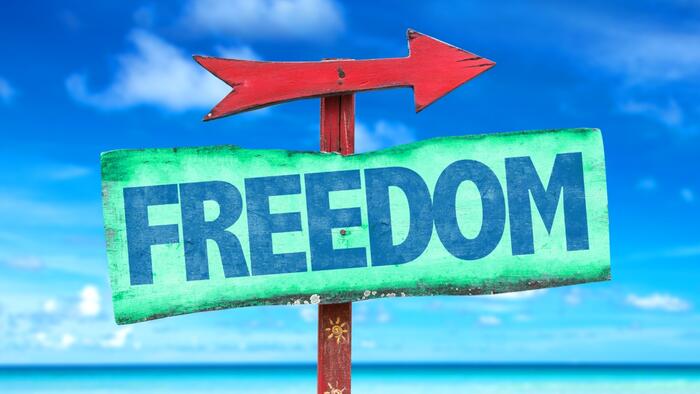The Rarest Asset In A Fourth Turning: The Freedom To Act