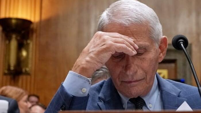 Fauci Privately Flagged Miscarriage Risk Before Telling Pregnant Women There Were ‘No Red Flags’