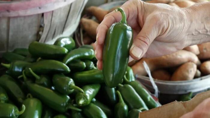 Diarrhea-Gate: One Sinaloa Farm, 345 Sick, And Two Restaurant Chains Down Double Digits