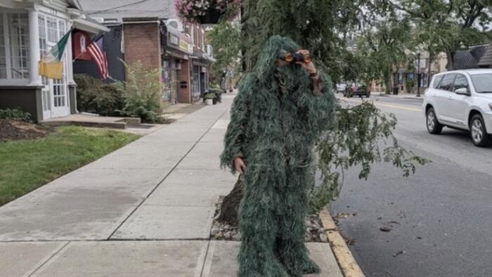 Your Tax Dollars At Work: NJ Cops Dress Up As Bushes To Hand Out Cell Phone Violations