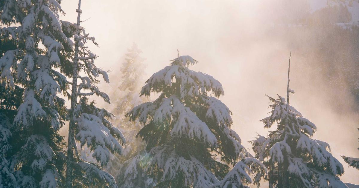 When the Storm Rages: Finding Calm Through Obedient Action