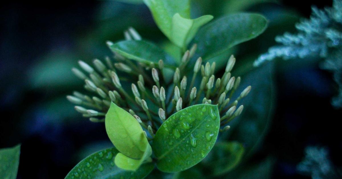 When Divine Truth Meets Human Memory: The Convergence of Spirit and Scripture