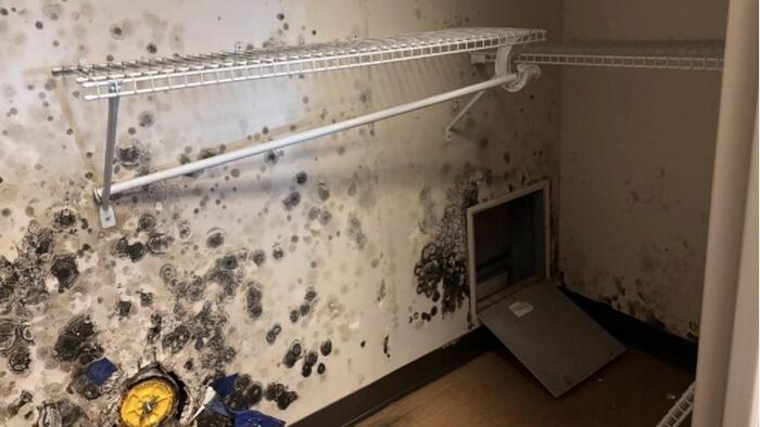 A Trillion Dollar Budget But Military Can’t ‘Afford’ To Attack Mold On Bases?