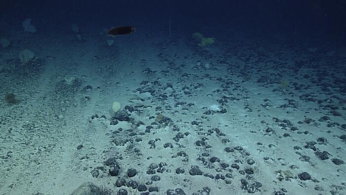 China Maps South China Sea Floor At Twice The Resolution Of Global Models