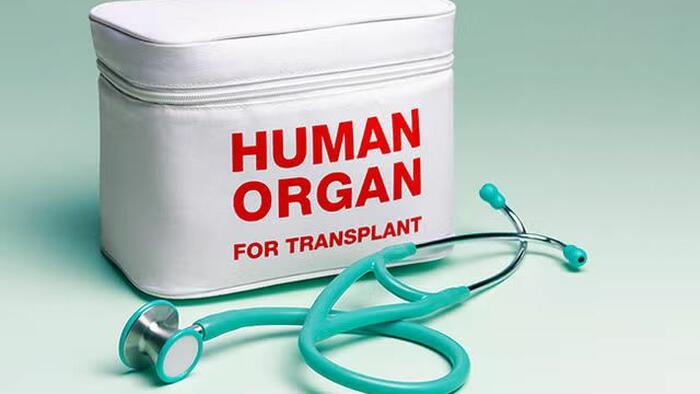Waste Of The Day: Medicare Paid For Wrong Organs