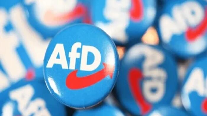 Putin Explains The Rise Of The AfD As The Consequence Of The EU’s Systemic Errors