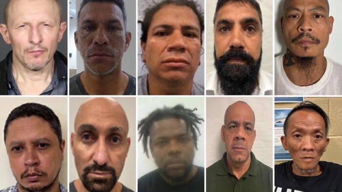 ‘Operation Rotten Apple’: Nearly 2,200 Illegal Immigrants Arrested In New York