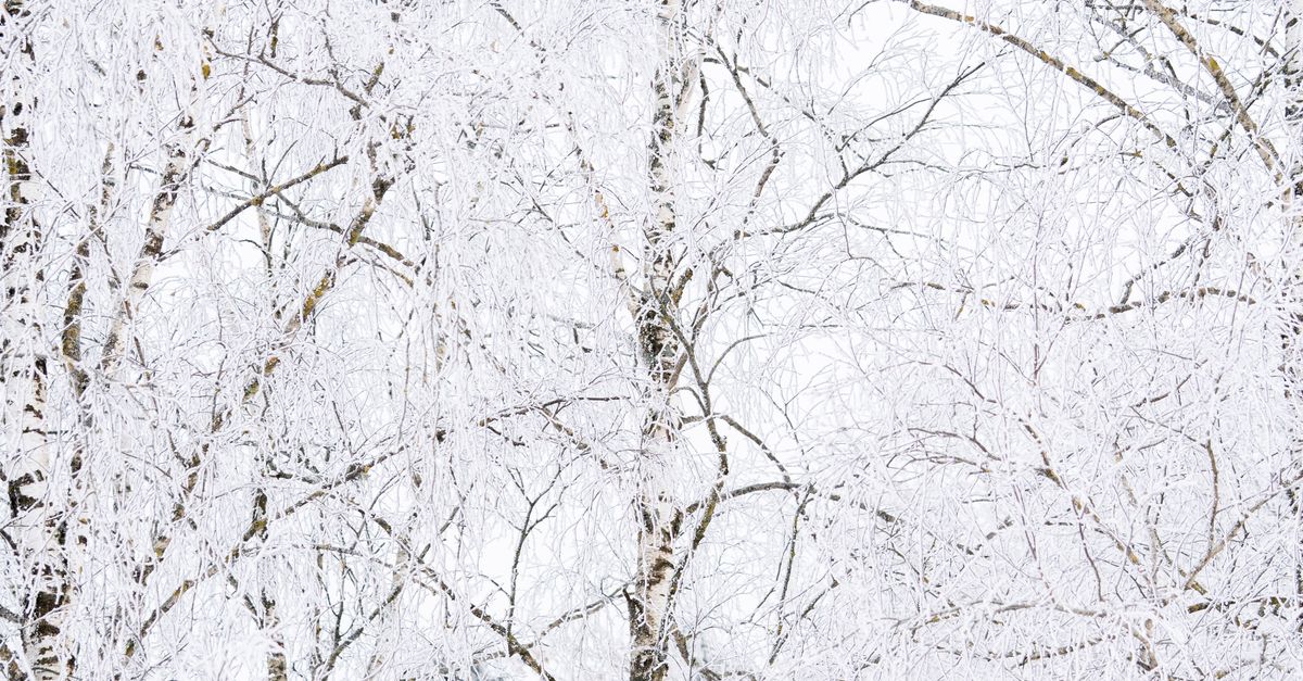 Beyond Time: Living in the Eternal Frequency of Divine Love